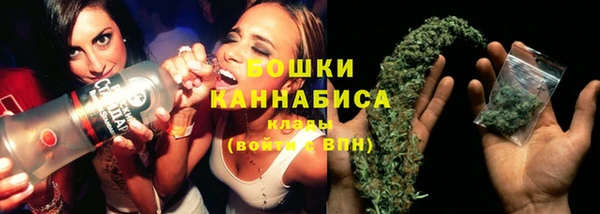 Альфа ПВП Бугульма