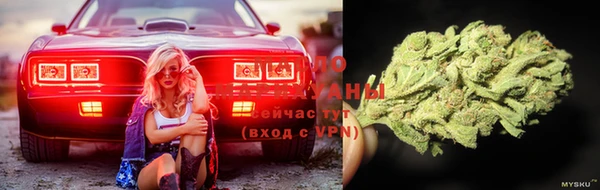 Альфа ПВП Бугульма