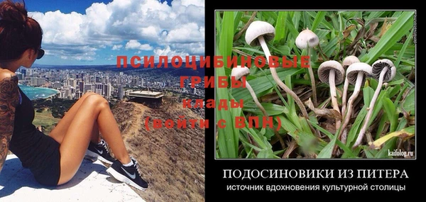 альфа пвп Бородино