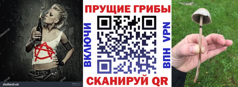 цена   Якутск  Галлюциногенные грибы прущие грибы 